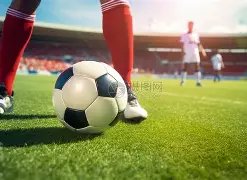 本赛季五大,联赛机会制,造王,巅峰国际会员登录入口,H5巅峰国际官网,巅峰国际