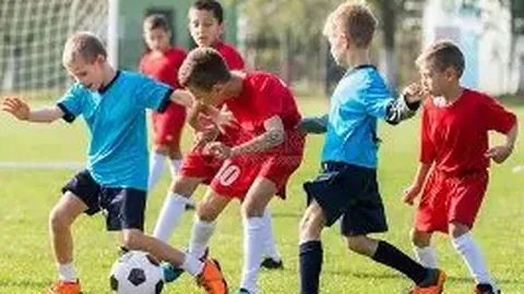 巅峰国际 产品 131617 pku