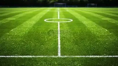 巅峰国际 产品 132211 zco