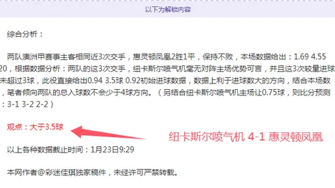 拜仁125周年庆典：2月27日安联球场上演红白光影盛宴