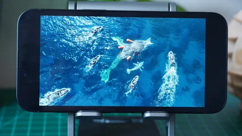 字母哥引领联盟，雄鹿佳绩频传但夺冠之路遥远